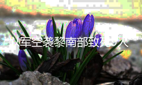 人 无人真主火炮回击部致空袭黎南机和以军党用死9