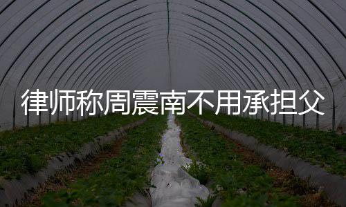 二代震南债务 周震南吗不用律师称周承担父母是富